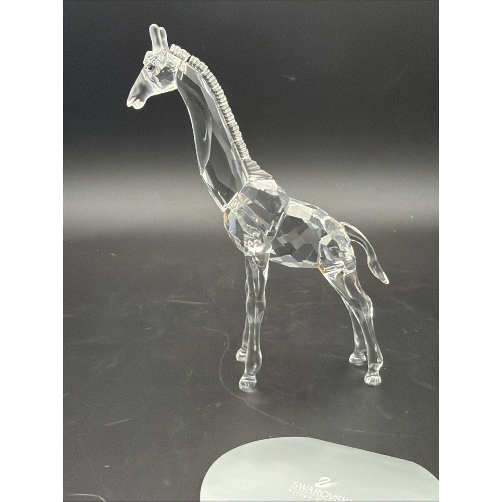 Swarovski Baby Giraffe 236717 Crystal Figurine 7603 000 002 Retired Box